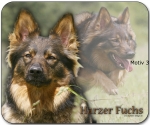 Mousepad Harzer Fuchs